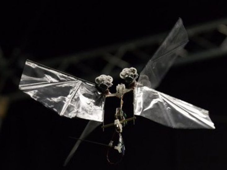 Robots that Fly Like Fruit Flies