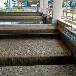 Bangalore water supply and sewerage board-7
